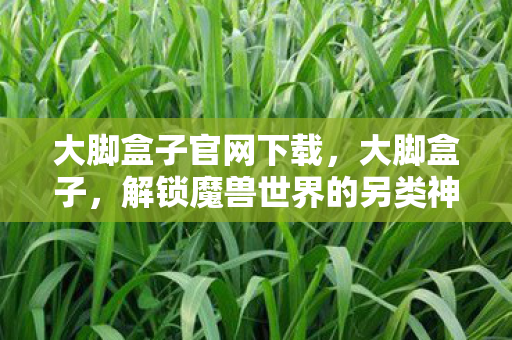 大脚盒子官网下载,大脚盒子,解锁魔兽世界的另类神器 大脚盒子官网下载,大脚盒子,解锁魔兽世界的另类神器