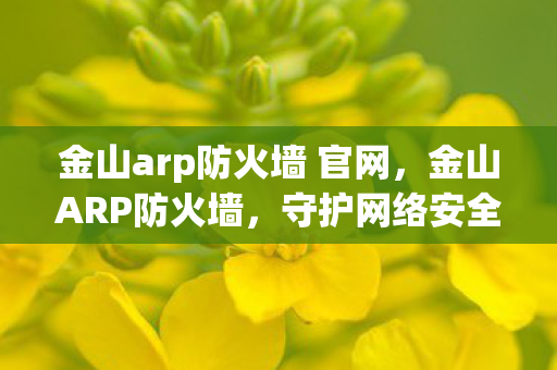 金山arp防火墙 官网,金山ARP防火墙,守护网络安全的重要防线 金山arp防火墙 官网,金山ARP防火墙,守护网络安全的重要防线