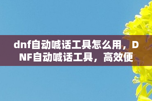dnf自动喊话工具怎么用,DNF自动喊话工具,高效便捷的游戏辅助工具 dnf自动喊话工具怎么用,DNF自动喊话工具,高效便捷的游戏辅助工具