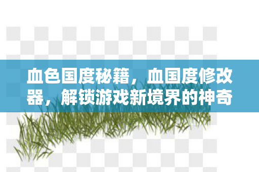 血色国度秘籍，血国度修改器，解锁游戏新境界的神奇工具