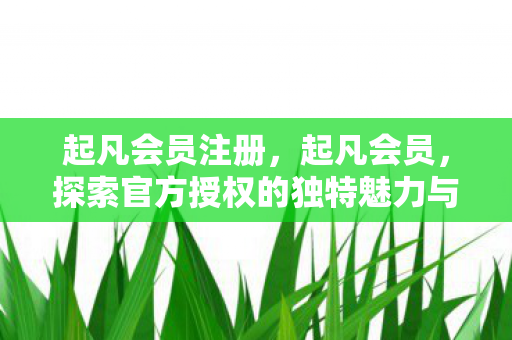 探索官方授权的独特魅力与优势图片