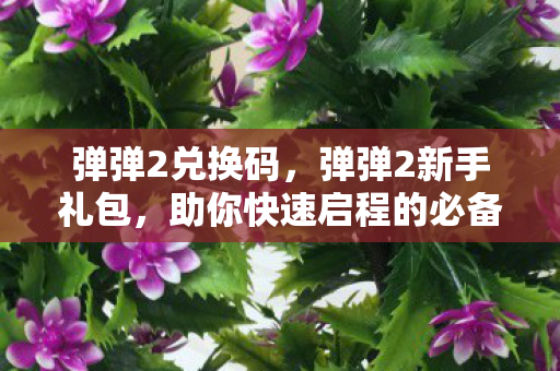 弹弹2兑换码,弹弹2新手礼包,助你快速启程的必备神器 弹弹2兑换码,弹弹2新手礼包,助你快速启程的必备神器