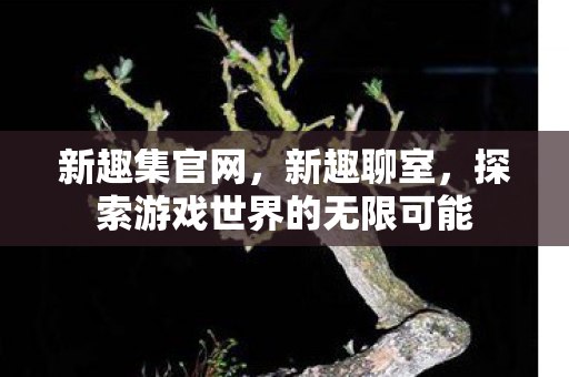新趣集官网,新趣聊室,探索游戏世界的无限可能 新趣集官网,新趣聊室,探索游戏世界的无限可能