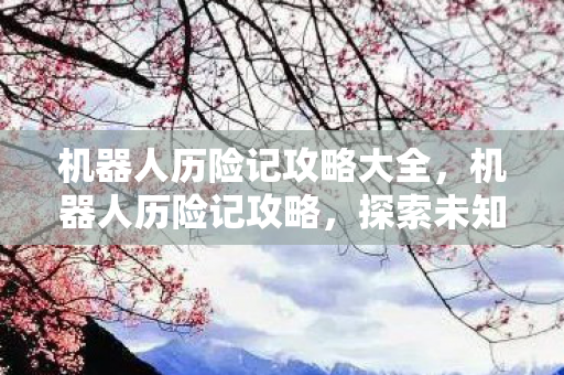 机器人历险记攻略大全,机器人历险记攻略,探索未知世界的奇妙旅程 机器人历险记攻略大全,机器人历险记攻略,探索未知世界的奇妙旅程