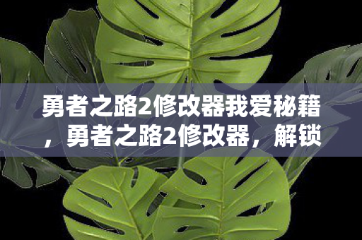 勇者之路2修改器我爱秘籍，勇者之路2修改器，解锁无限可能的冒险之旅