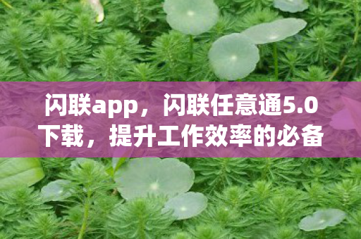 闪联app，闪联任意通5.0下载，提升工作效率的必备工具