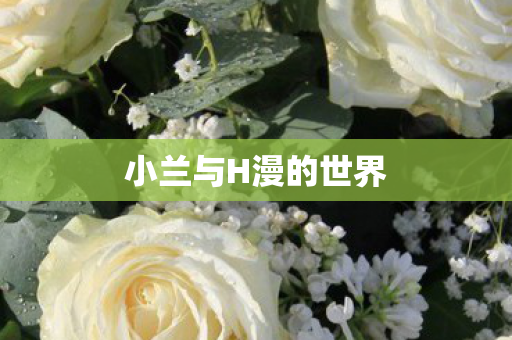小兰与H漫的世界