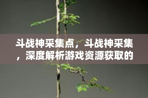 斗战神采集点,斗战神采集,深度解析游戏资源获取的艺术 斗战神采集点,斗战神采集,深度解析游戏资源获取的艺术