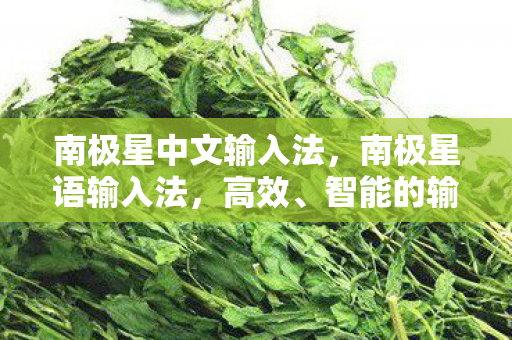 南极星中文输入法,南极星语输入法,高效、智能的输入新体验 南极星中文输入法,南极星语输入法,高效、智能的输入新体验