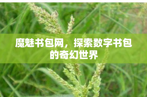 魔魅书包网,探索数字书包的奇幻世界 魔魅书包网,探索数字书包的奇幻世界