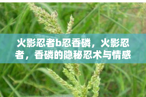 火影忍者b忍香磷,火影忍者,香磷的隐秘忍术与情感纠葛 火影忍者b忍香磷,火影忍者,香磷的隐秘忍术与情感纠葛