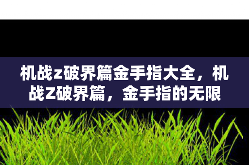 机战z破界篇金手指大全,机战Z破界篇,金手指的无限可能 机战z破界篇金手指大全,机战Z破界篇,金手指的无限可能