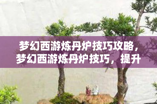 梦幻西游炼丹炉技巧攻略，梦幻西游炼丹炉技巧，提升炼丹效率与品质