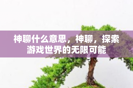 神聊什么意思,神聊,探索游戏世界的无限可能 神聊什么意思,神聊,探索游戏世界的无限可能