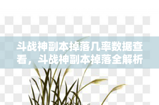 斗战神副本掉落几率数据查看,斗战神副本掉落全解析,珍稀装备与材料的获取之道 斗战神副本掉落几率数据查看,斗战神副本掉落全解析,珍稀装备与材料的获取之道