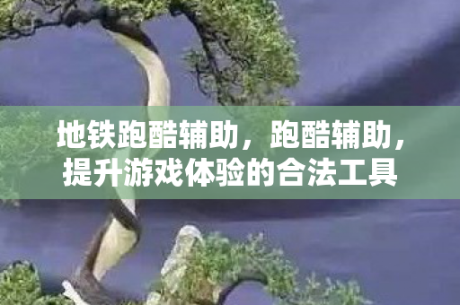 地铁跑酷辅助，跑酷辅助，提升游戏体验的合法工具