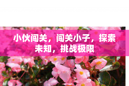 小伙闯关,闯关小子,探索未知,挑战极限 小伙闯关,闯关小子,探索未知,挑战极限