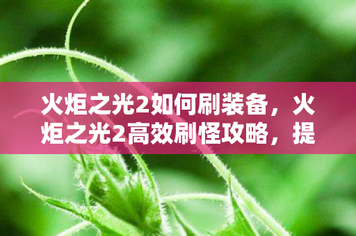 火炬之光2如何刷装备,火炬之光2高效刷怪攻略,提升效率与装备获取技巧 火炬之光2如何刷装备,火炬之光2高效刷怪攻略,提升效率与装备获取技巧
