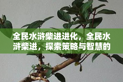 全民水浒柴进进化，全民水浒柴进，探索策略与智慧的深度结合