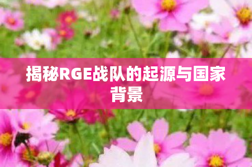 揭秘RGE战队的起源与国家背景 揭秘RGE战队的起源与国家背景