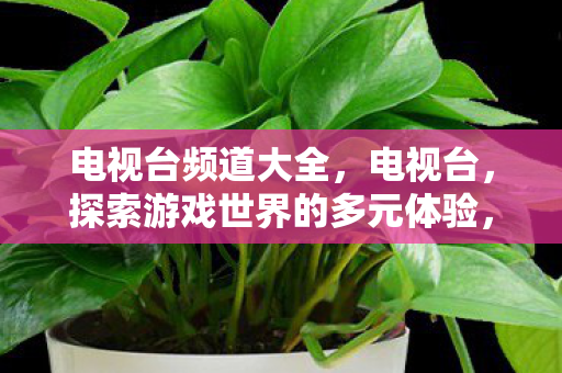 电视台频道大全,电视台,探索游戏世界的多元体验,私服与官网的异同解析 电视台频道大全,电视台,探索游戏世界的多元体验,私服与官网的异同解析