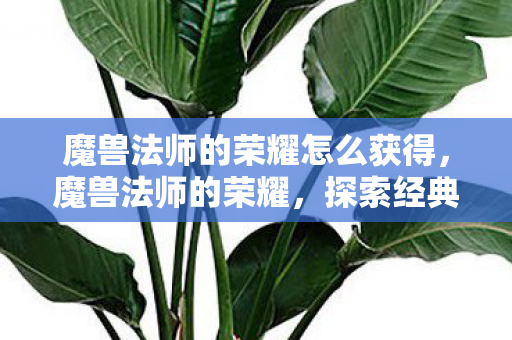 魔兽法师的荣耀怎么获得,魔兽法师的荣耀,探索经典与传承的传奇 魔兽法师的荣耀怎么获得,魔兽法师的荣耀,探索经典与传承的传奇