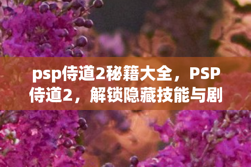 psp侍道2秘籍大全,PSP侍道2,解锁隐藏技能与剧情的秘籍 psp侍道2秘籍大全,PSP侍道2,解锁隐藏技能与剧情的秘籍