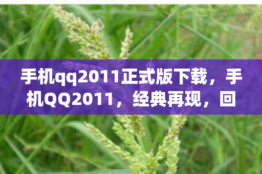 手机qq2011正式版下载,手机QQ2011,经典再现,回忆与创新的碰撞 手机qq2011正式版下载,手机QQ2011,经典再现,回忆与创新的碰撞