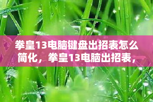 拳皇13电脑键盘出招表怎么简化,拳皇13电脑出招表,掌握技巧,称霸格斗舞台 拳皇13电脑键盘出招表怎么简化,拳皇13电脑出招表,掌握技巧,称霸格斗舞台
