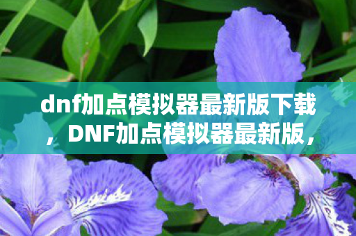 dnf加点模拟器最新版下载，DNF加点模拟器最新版，打造个性化角色，提升战斗效率