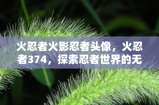火忍者火影忍者头像,火忍者374,探索忍者世界的无限可能 火忍者火影忍者头像,火忍者374,探索忍者世界的无限可能