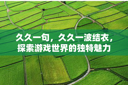 久久一句,久久一波结衣,探索游戏世界的独特魅力 久久一句,久久一波结衣,探索游戏世界的独特魅力