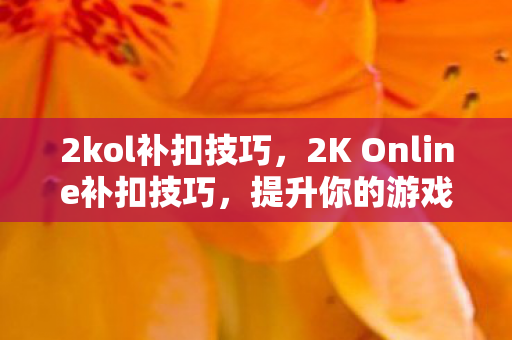2kol补扣技巧,2K Online补扣技巧,提升你的游戏得分能力 2kol补扣技巧,2K Online补扣技巧,提升你的游戏得分能力