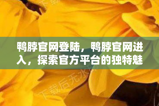 鸭脖官网登陆，鸭脖官网进入，探索官方平台的独特魅力与安全保障