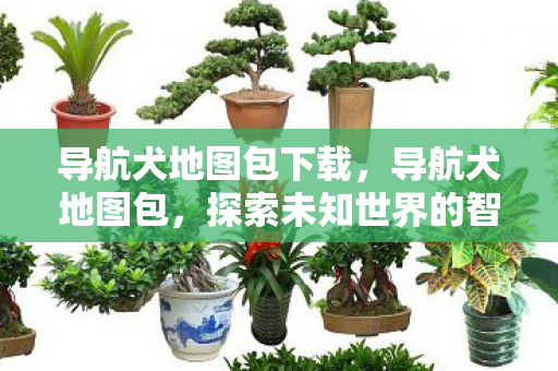 导航犬地图包下载,导航犬地图包,探索未知世界的智能向导 导航犬地图包下载,导航犬地图包,探索未知世界的智能向导