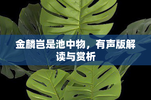金麟岂是池中物,有声版解读与赏析 金麟岂是池中物,有声版解读与赏析
