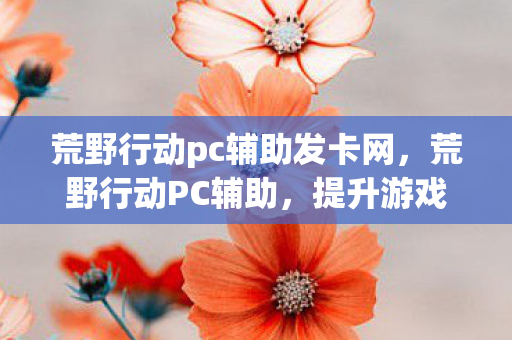 荒野行动pc辅助发卡网，荒野行动PC辅助，提升游戏体验的利器