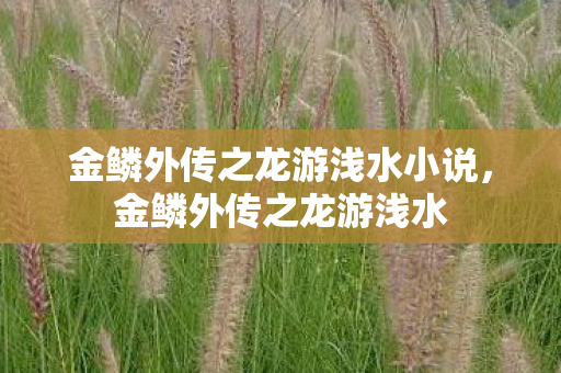 金鳞外传之龙游浅水小说，金鳞外传之龙游浅水