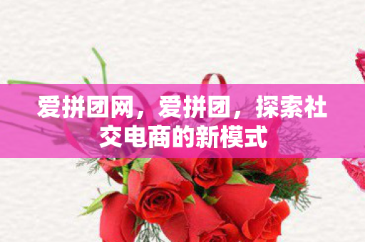 爱拼团网,爱拼团,探索社交电商的新模式 爱拼团网,爱拼团,探索社交电商的新模式