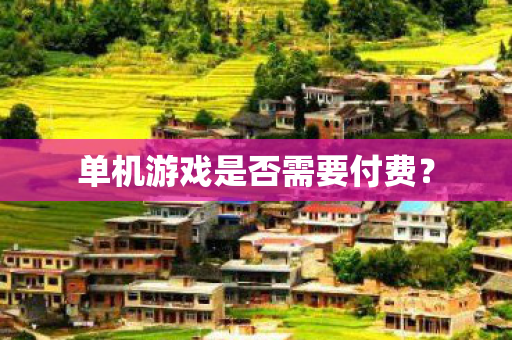 单机游戏是否需要付费? 单机游戏是否需要付费?