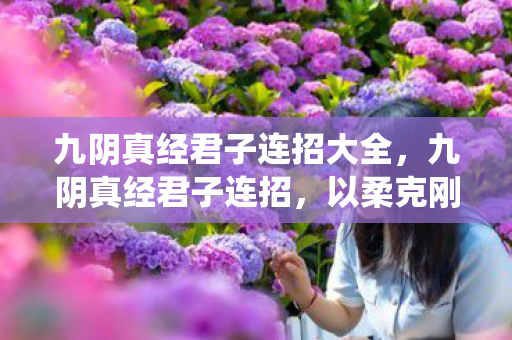 九阴真经君子连招大全，九阴真经君子连招，以柔克刚，君子之道的武学演绎