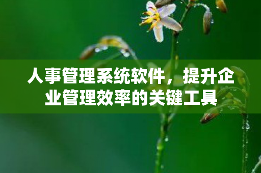 人事管理系统软件,提升企业管理效率的关键工具 人事管理系统软件,提升企业管理效率的关键工具