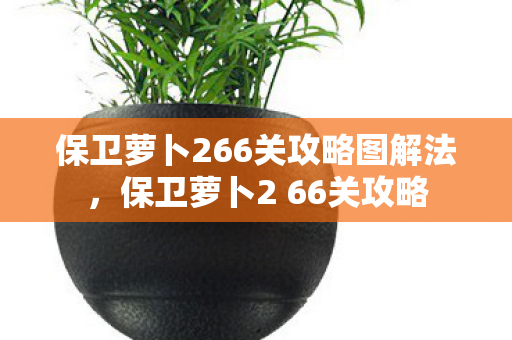 保卫萝卜266关攻略图解法，保卫萝卜2 66关攻略