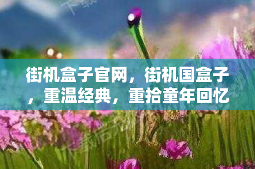 街机盒子官网，街机国盒子，重温经典，重拾童年回忆