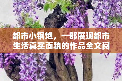 都市小钢炮,一部展现都市生活真实面貌的作品全文阅读 都市小钢炮,一部展现都市生活真实面貌的作品全文阅读
