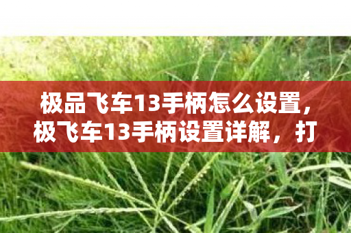 极品飞车13手柄怎么设置,极飞车13手柄设置详解,打造个性化操控体验 极品飞车13手柄怎么设置,极飞车13手柄设置详解,打造个性化操控体验