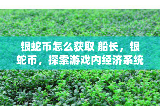 银蛇币怎么获取 船长,银蛇币,探索游戏内经济系统的奥秘 银蛇币怎么获取 船长,银蛇币,探索游戏内经济系统的奥秘