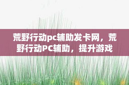 荒野行动pc辅助发卡网,荒野行动PC辅助,提升游戏体验的合法工具 荒野行动pc辅助发卡网,荒野行动PC辅助,提升游戏体验的合法工具