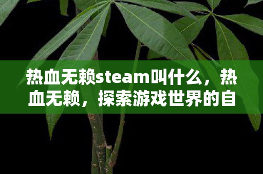 热血无赖steam叫什么，热血无赖，探索游戏世界的自由与限制