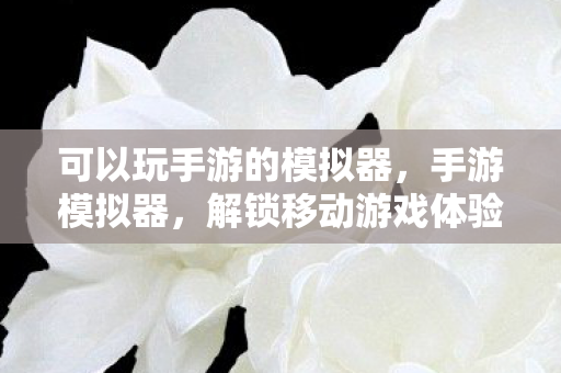 可以玩手游的模拟器,手游模拟器,解锁移动游戏体验的新篇章 可以玩手游的模拟器,手游模拟器,解锁移动游戏体验的新篇章
